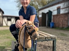 Hobby Horse [-10%]