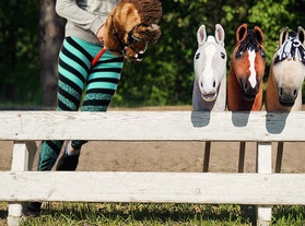 Hobby Horse [-10%]