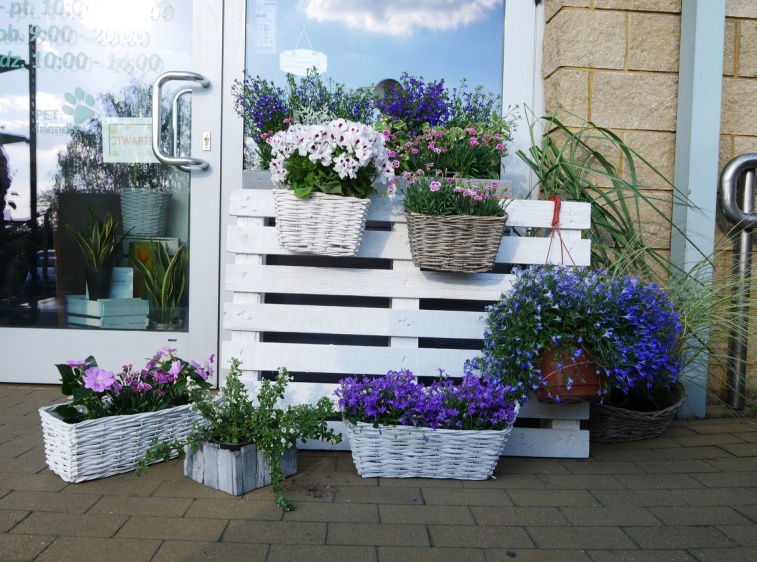 Kwiaciarnia kffiaty Bemowo 